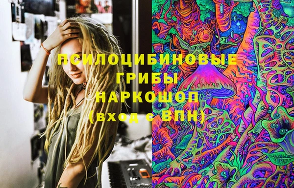 PSILOCYBIN Богородицк