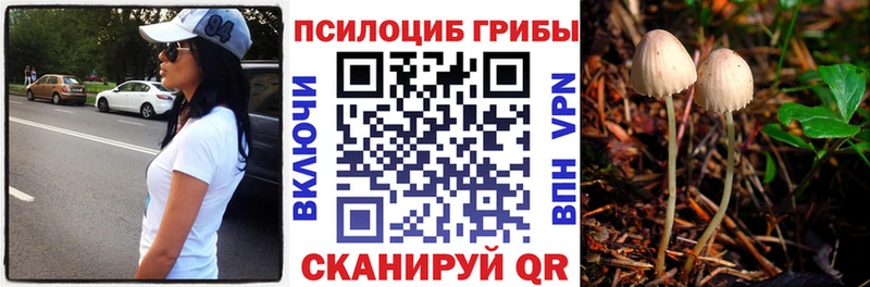 Галлюциногенные грибы мицелий  площадка клад  Дмитров 